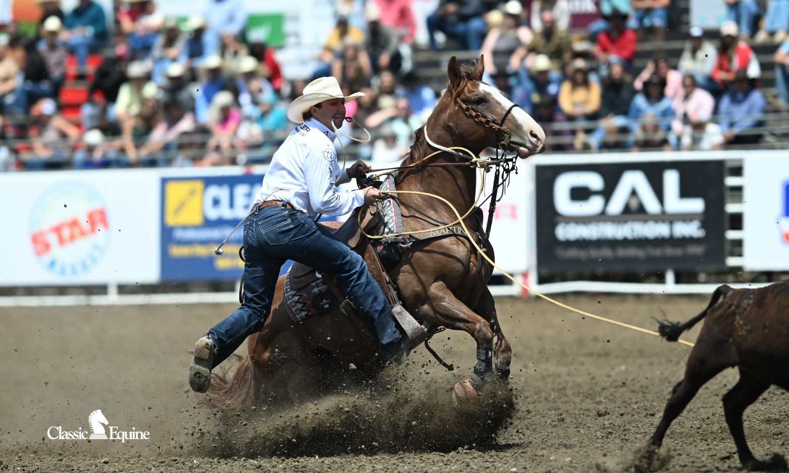 Ty Harris, 6X NFR Qualifier, wearing Classic Equine Flexion by Legacy2 splint boots